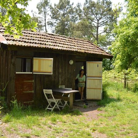 Cabane En Foret Onesse-et-Laharie Dış mekan fotoğraf