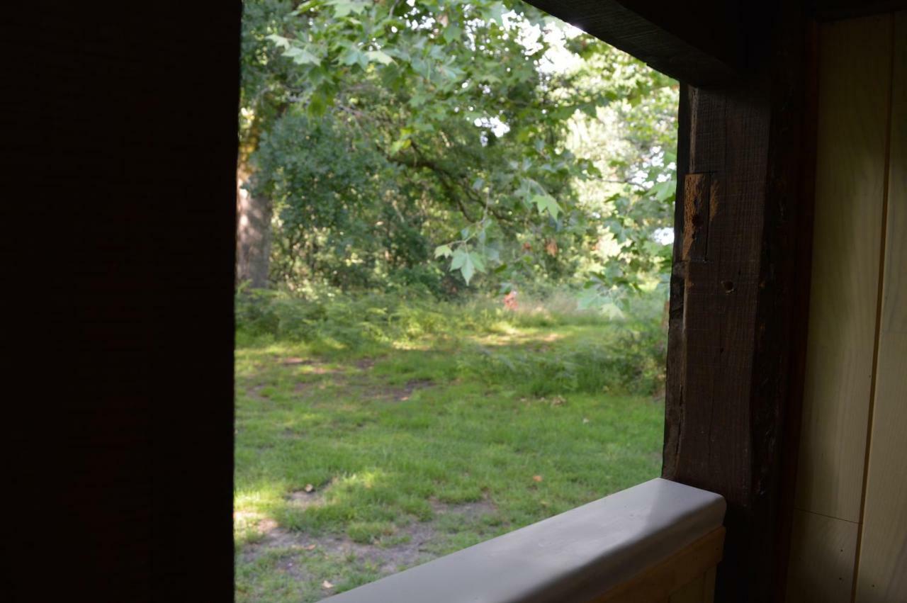 Cabane En Foret Onesse-et-Laharie Dış mekan fotoğraf