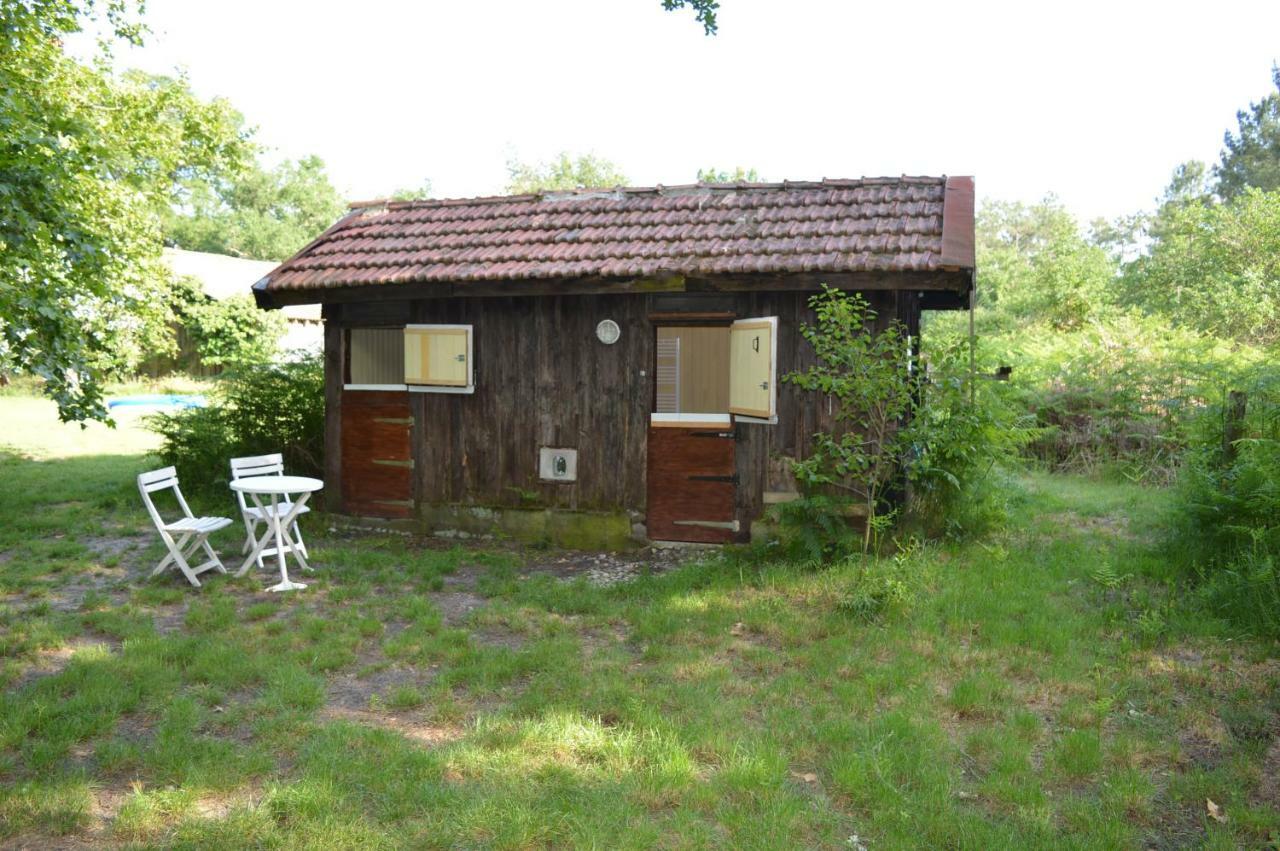 Cabane En Foret Onesse-et-Laharie Dış mekan fotoğraf