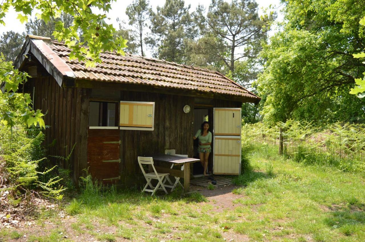 Cabane En Foret Onesse-et-Laharie Dış mekan fotoğraf