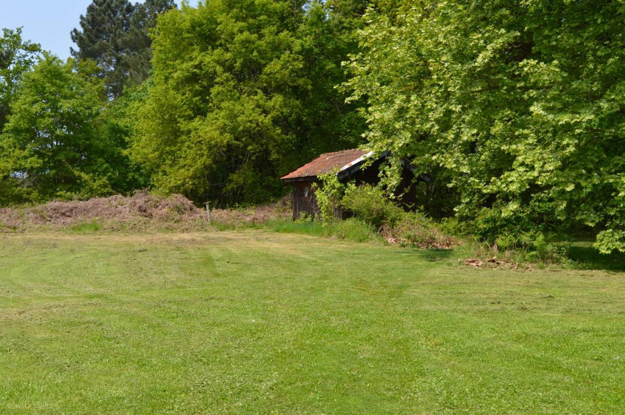 Cabane En Foret Onesse-et-Laharie Dış mekan fotoğraf