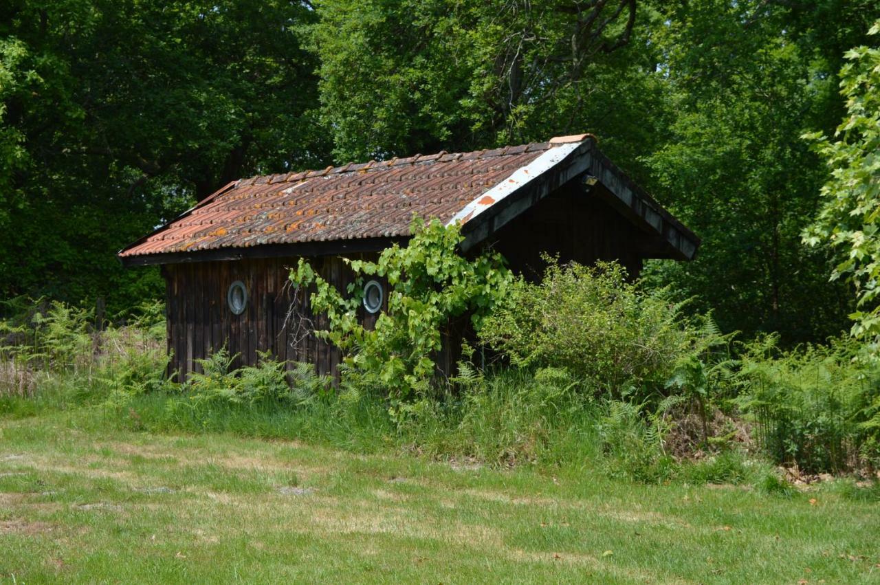 Cabane En Foret Onesse-et-Laharie Dış mekan fotoğraf
