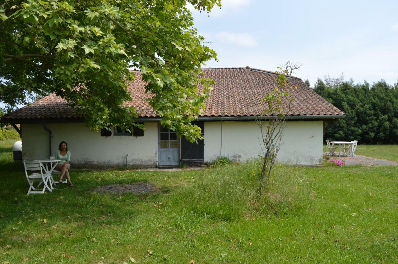 Cabane En Foret Onesse-et-Laharie Dış mekan fotoğraf
