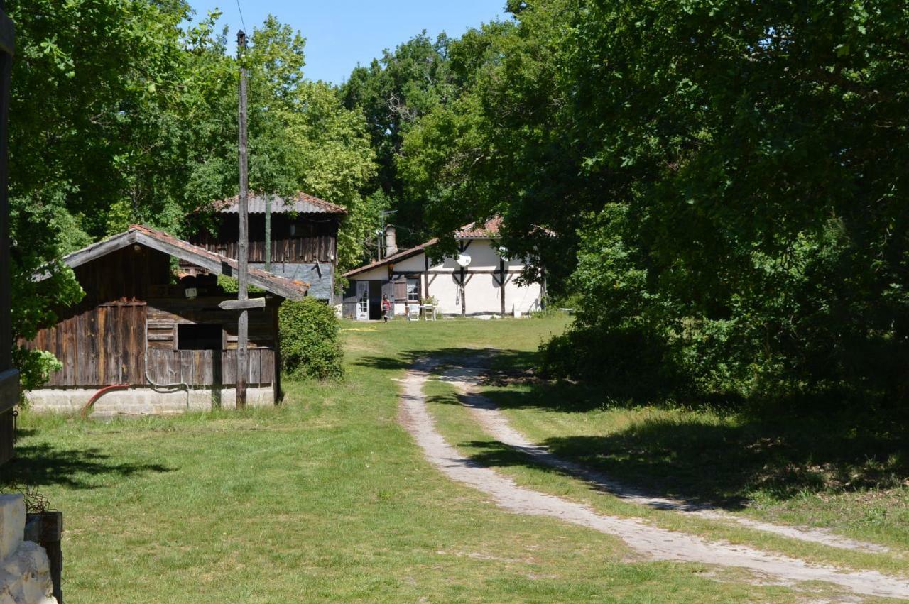 Cabane En Foret Onesse-et-Laharie Dış mekan fotoğraf