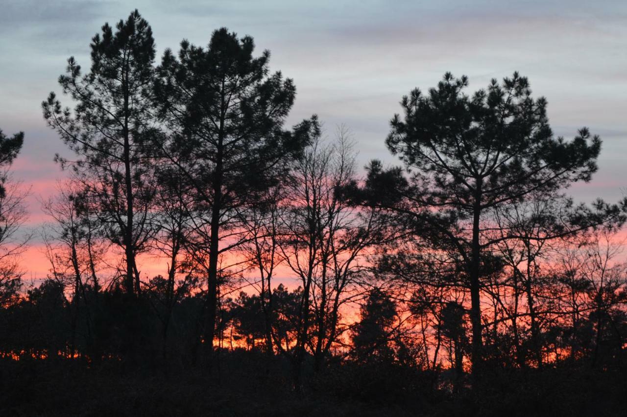 Cabane En Foret Onesse-et-Laharie Dış mekan fotoğraf