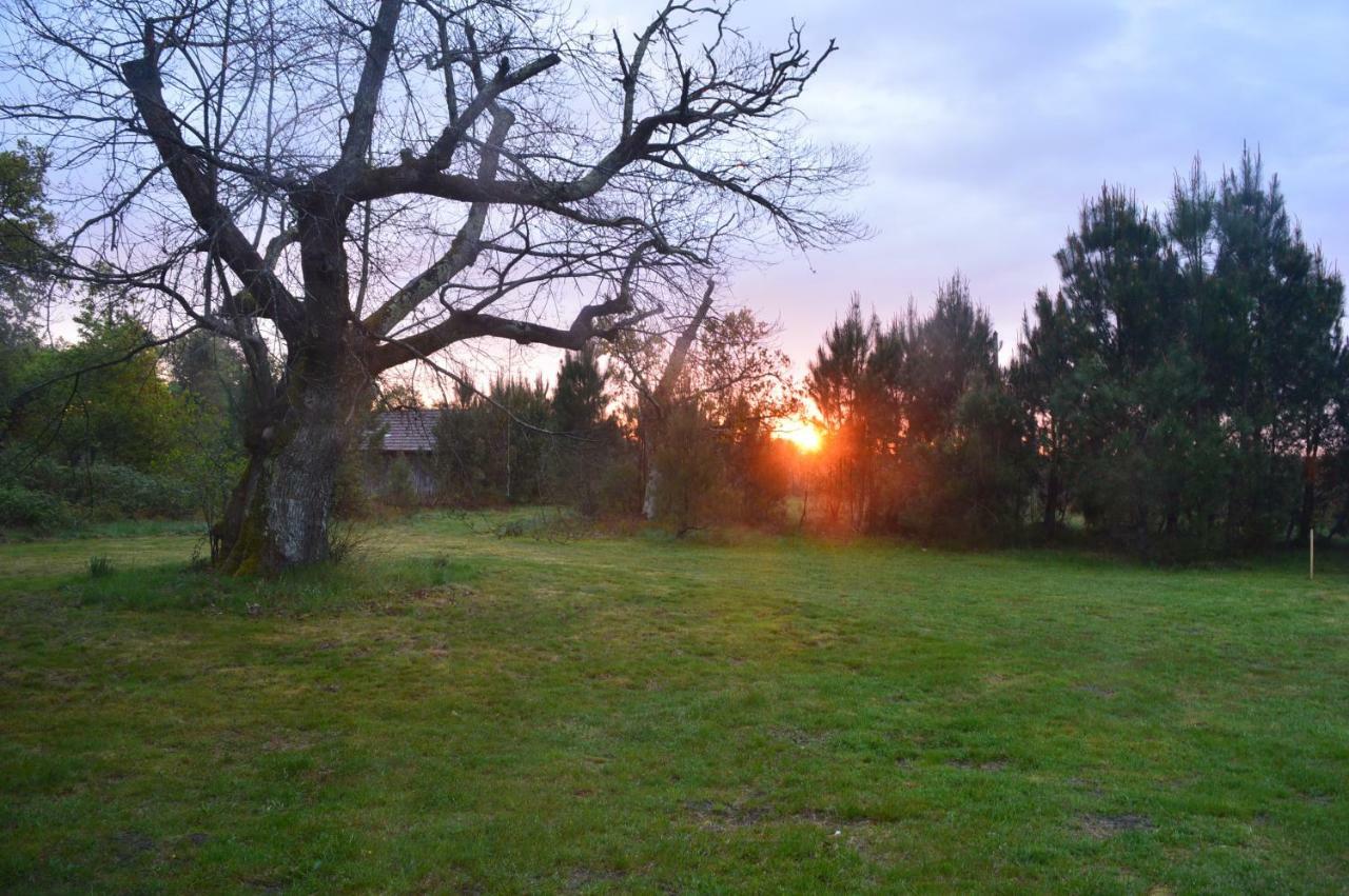 Cabane En Foret Onesse-et-Laharie Dış mekan fotoğraf